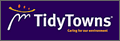Supporting tidy towns